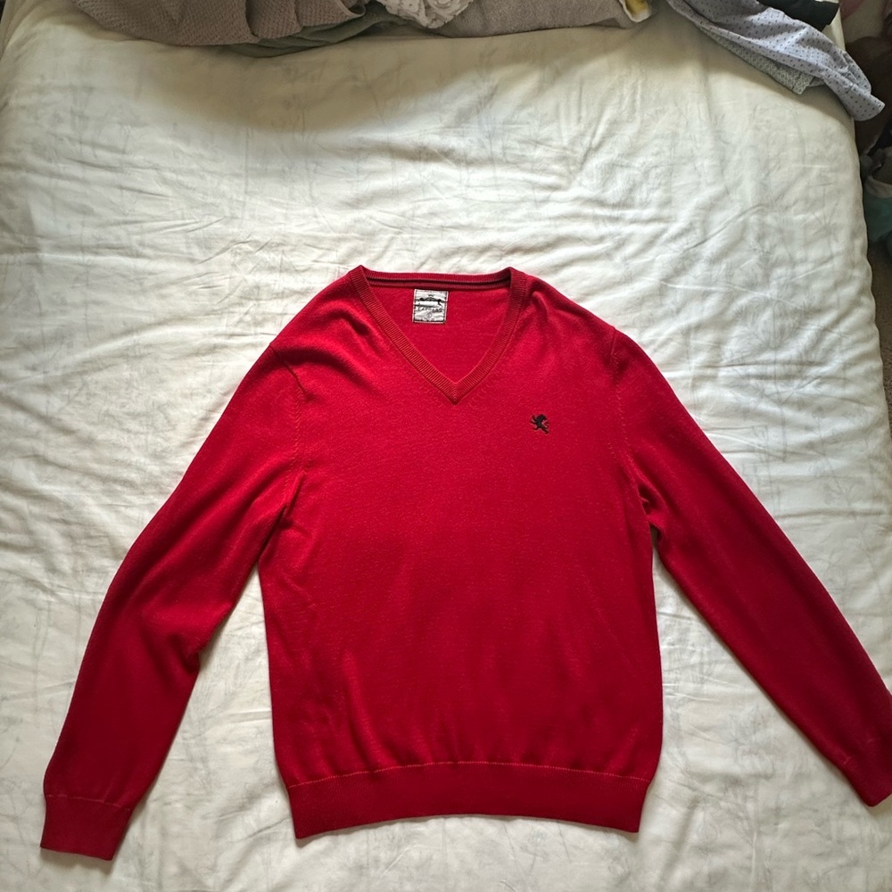 Express Red V-Neck Sweater with Embroidered Detail